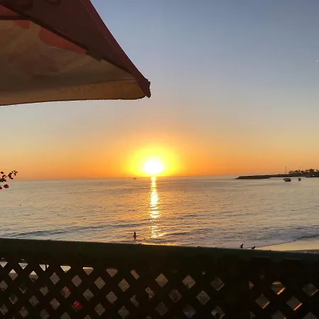 Donana 1021 Patalavaca